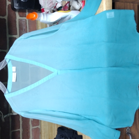 (RB1 NWOT) LIZ CLAIBORNE SHEER BLOUSE - Picture 1 of 3